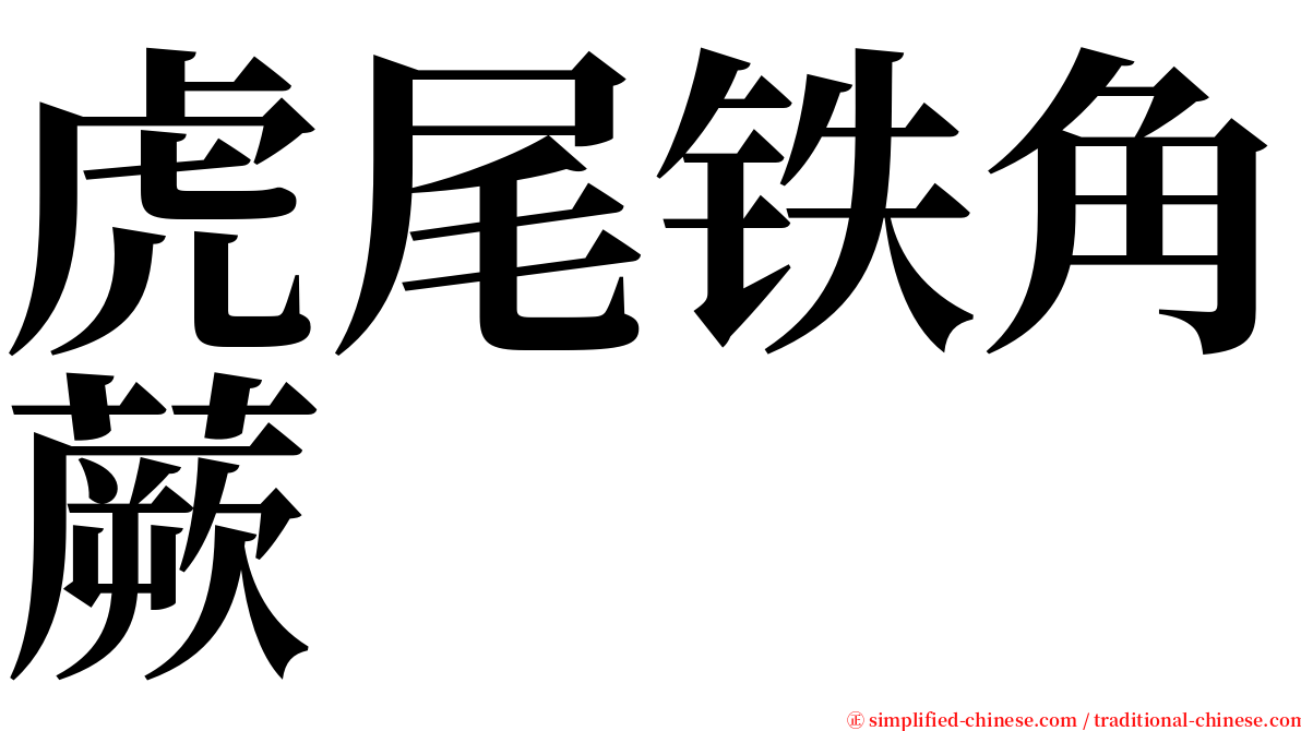 虎尾铁角蕨 serif font