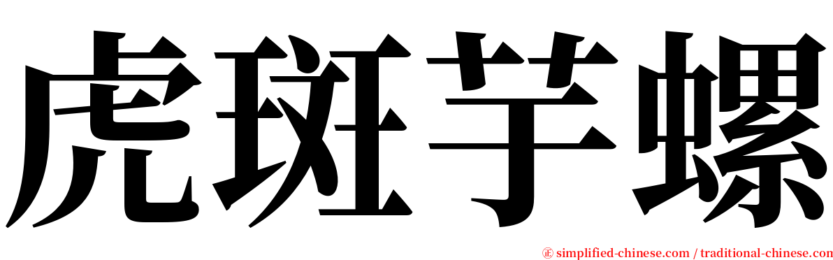 虎斑芋螺 serif font