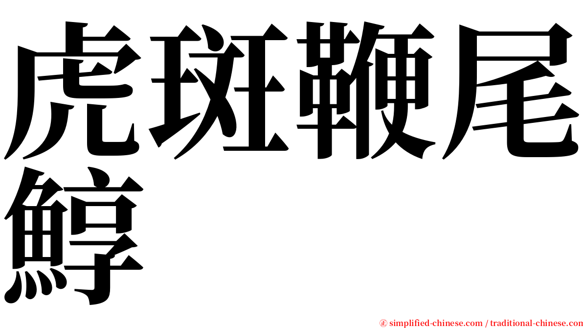 虎斑鞭尾鯙 serif font