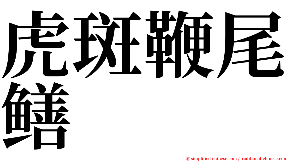 虎斑鞭尾鳝 serif font