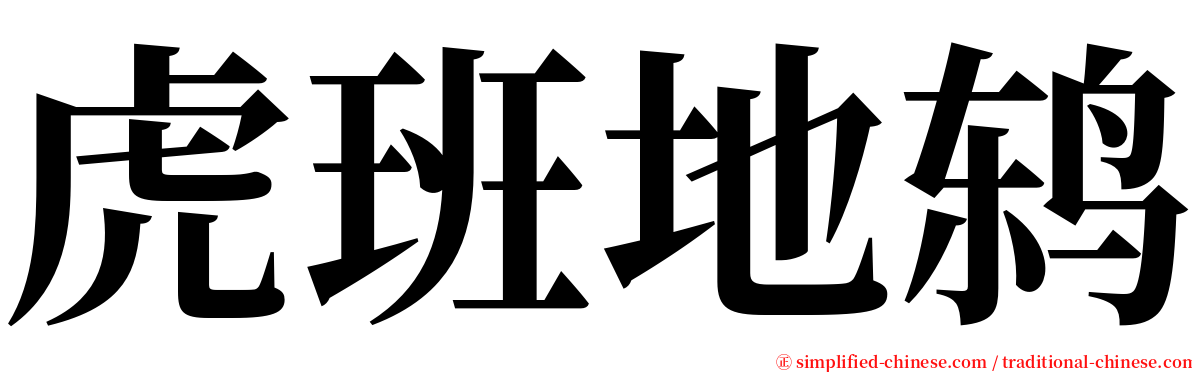 虎班地鸫 serif font