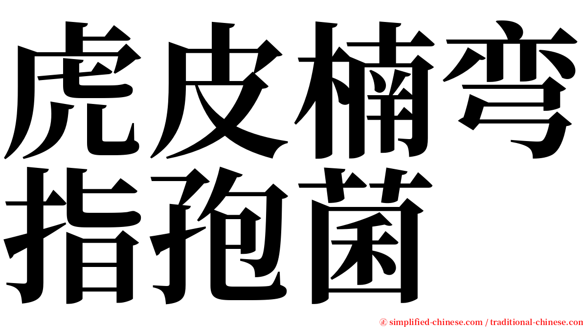 虎皮楠弯指孢菌 serif font