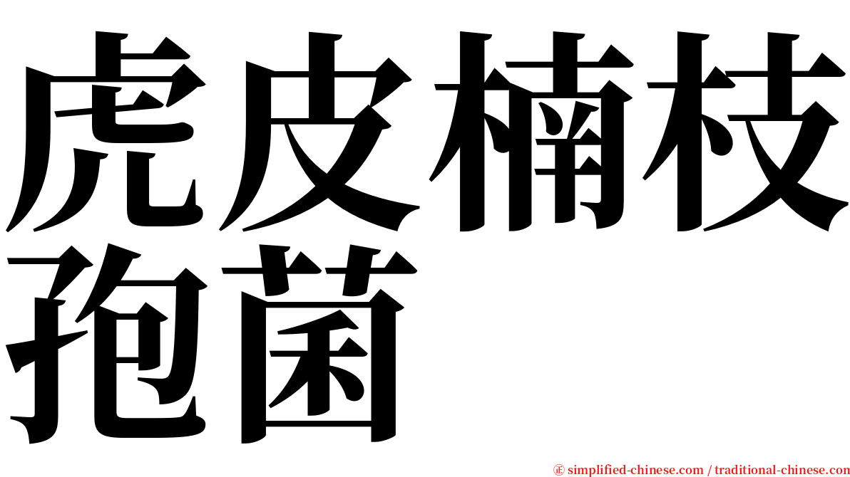 虎皮楠枝孢菌 serif font