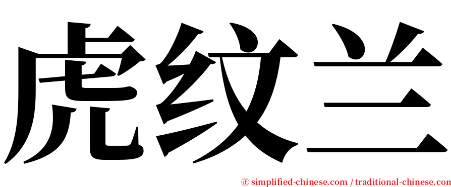 虎纹兰 serif font