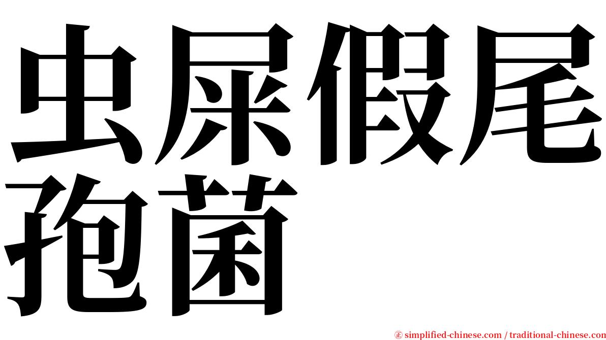 虫屎假尾孢菌 serif font