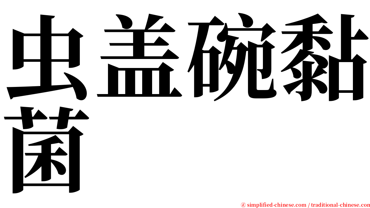 虫盖碗黏菌 serif font