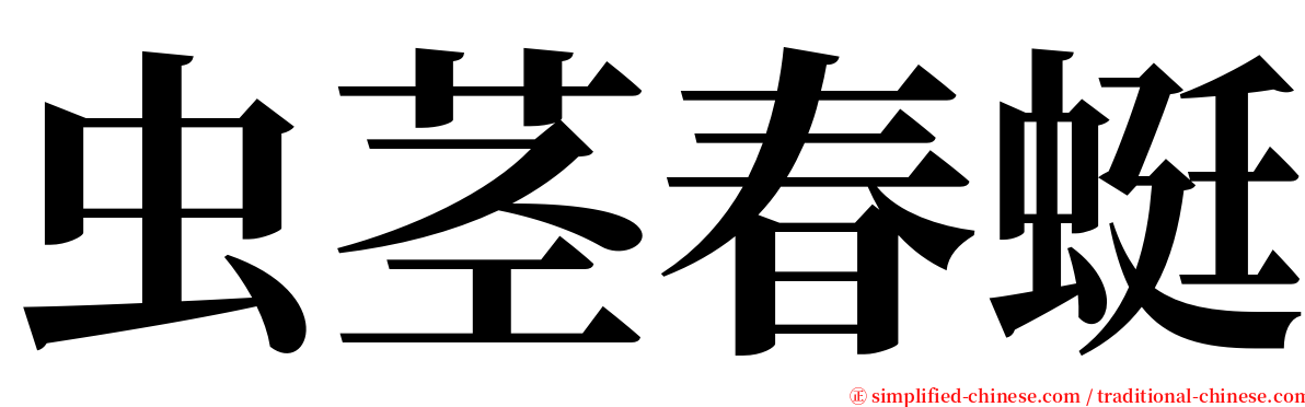 虫茎春蜓 serif font