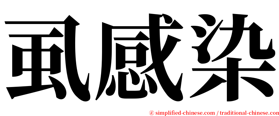 虱感染 serif font