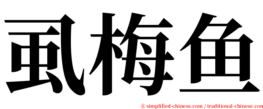 虱梅鱼 serif font