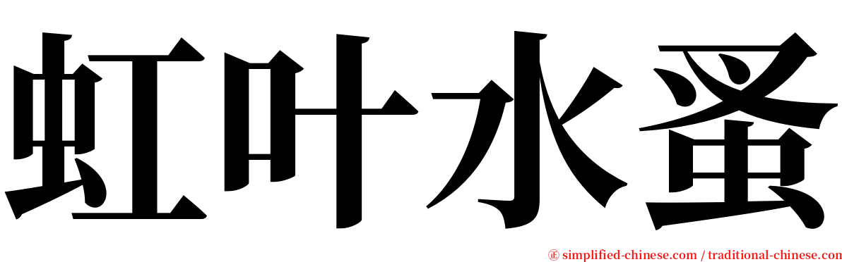 虹叶水蚤 serif font