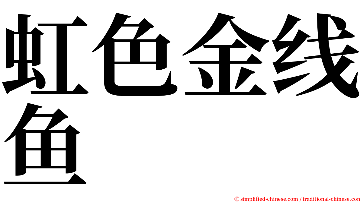 虹色金线鱼 serif font