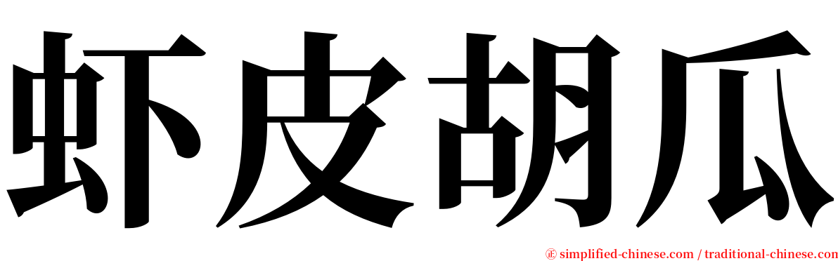 虾皮胡瓜 serif font