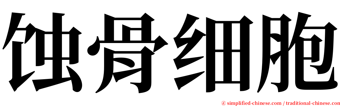 蚀骨细胞 serif font