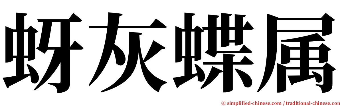 蚜灰蝶属 serif font