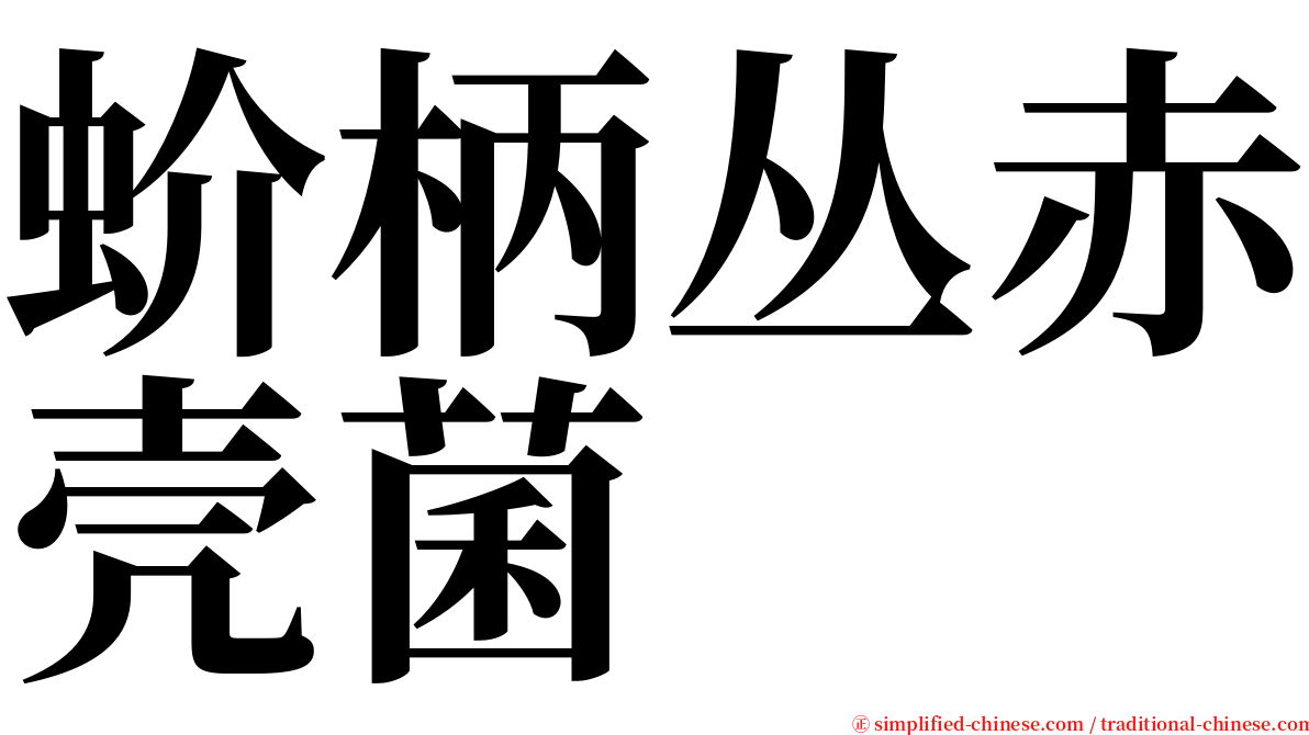 蚧柄丛赤壳菌 serif font