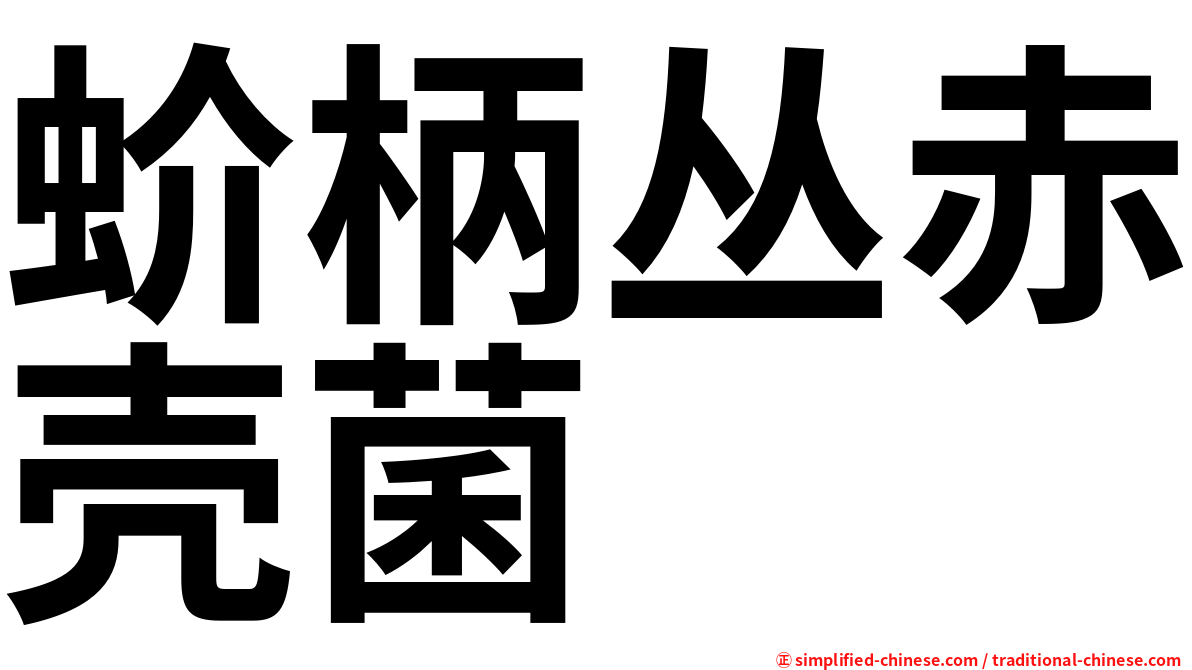 蚧柄丛赤壳菌