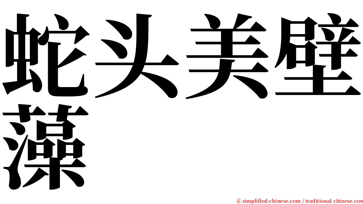 蛇头美壁藻 serif font