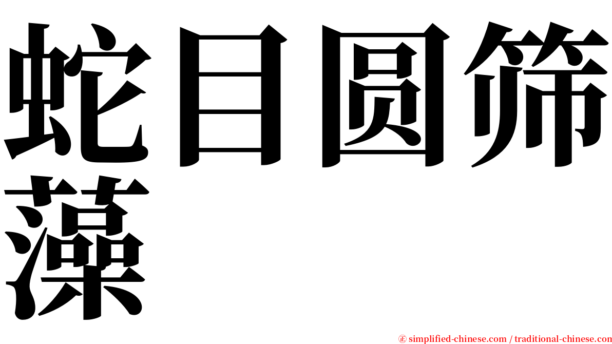 蛇目圆筛藻 serif font