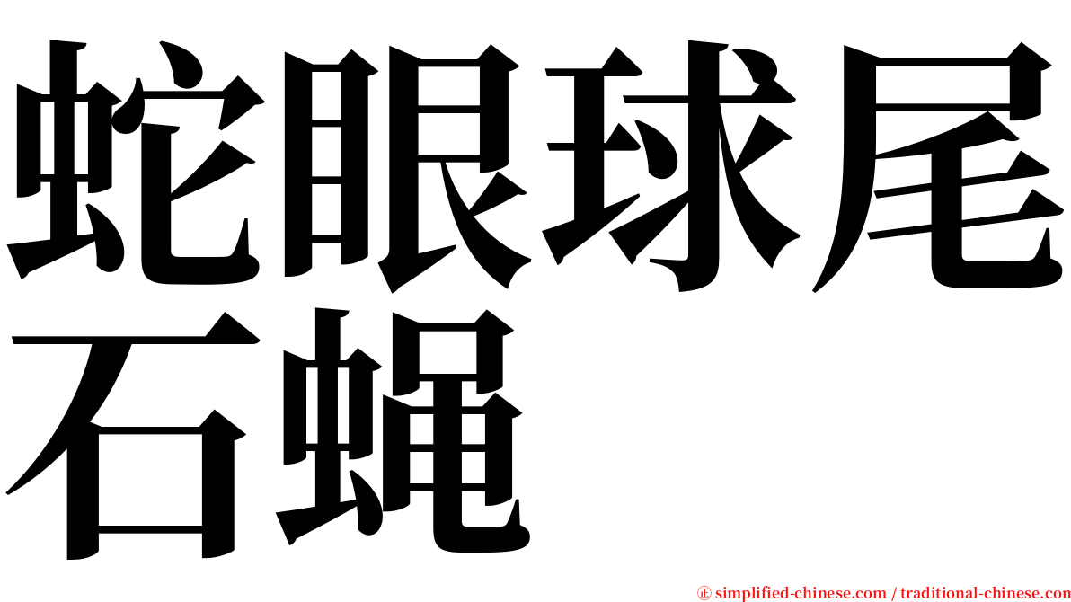 蛇眼球尾石蝇 serif font