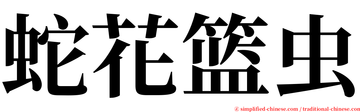 蛇花篮虫 serif font