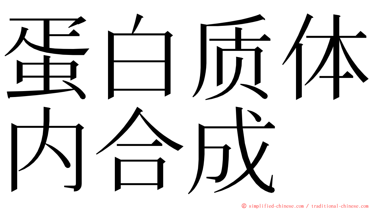 蛋白质体内合成 ming font