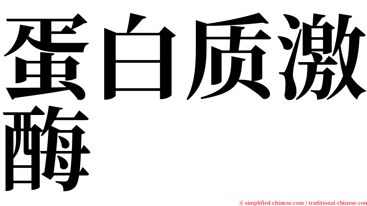 蛋白质激酶 serif font