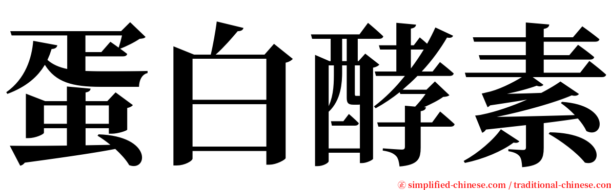 蛋白酵素 serif font