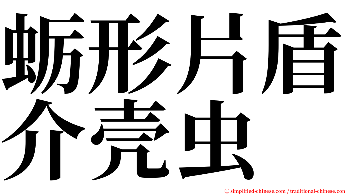 蛎形片盾介壳虫 serif font