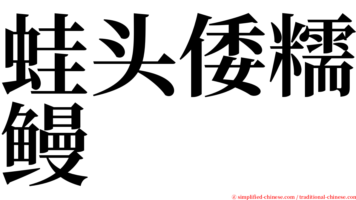 蛙头倭糯鳗 serif font