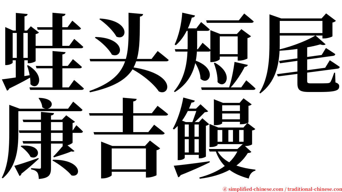 蛙头短尾康吉鳗 serif font