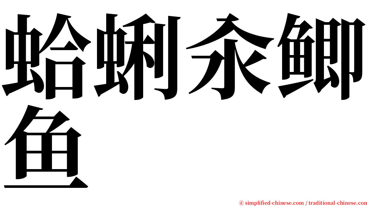 蛤蜊汆鲫鱼 serif font