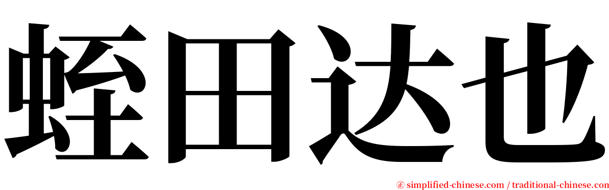 蛭田达也 serif font