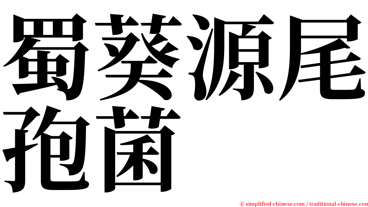 蜀葵源尾孢菌 serif font