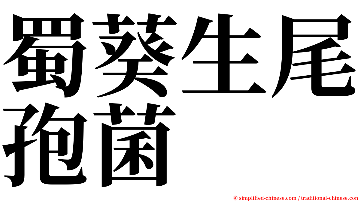 蜀葵生尾孢菌 serif font