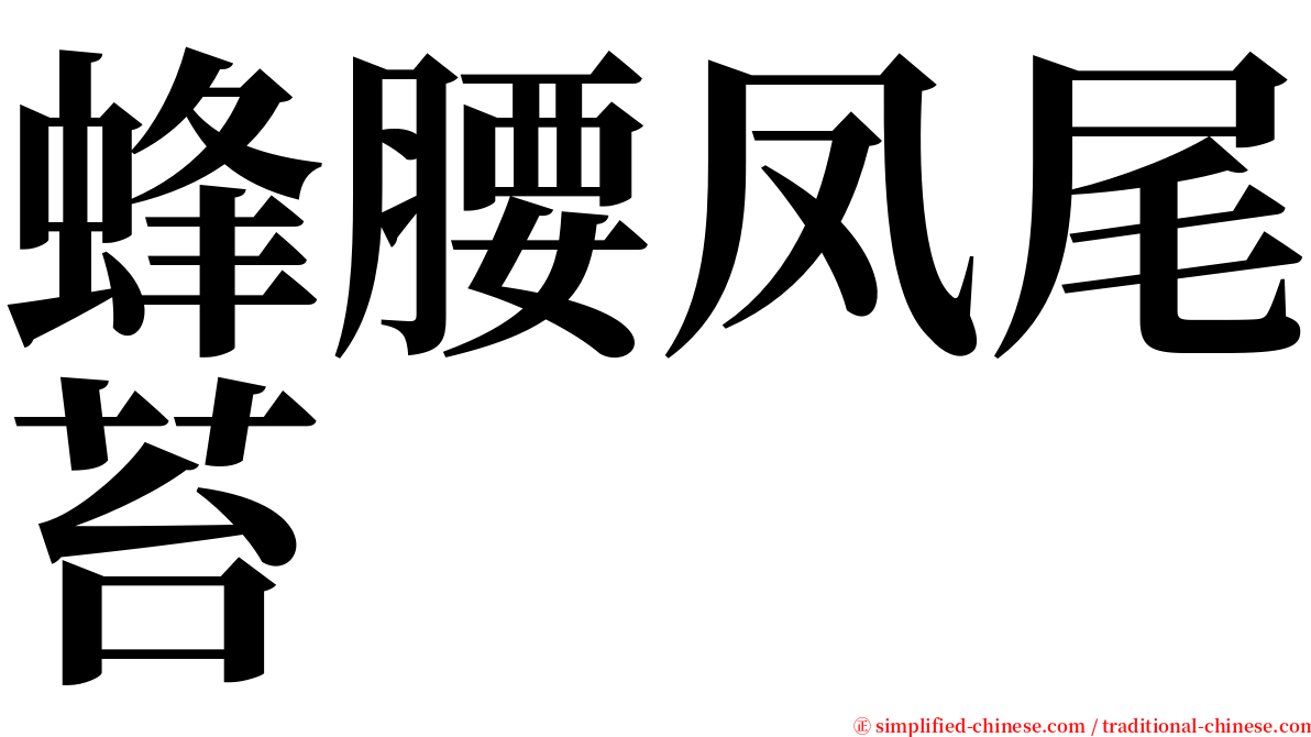 蜂腰凤尾苔 serif font