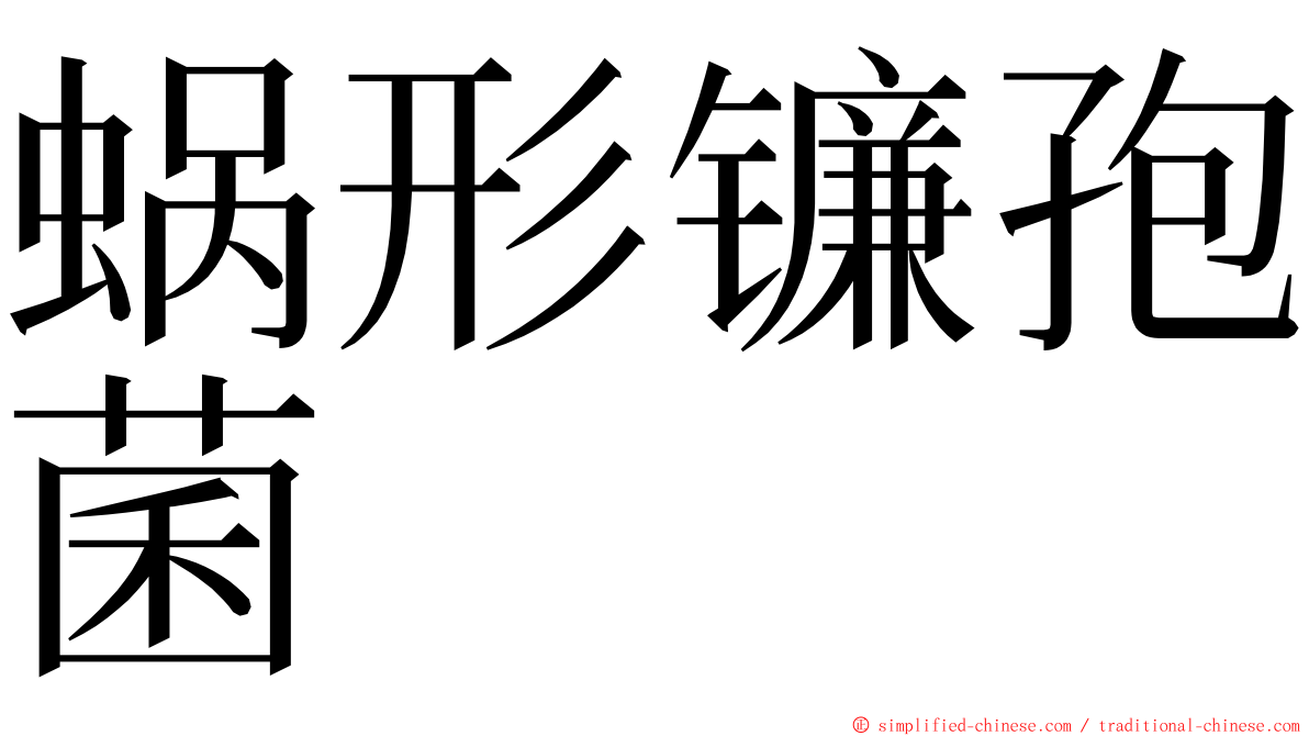 蜗形镰孢菌 ming font