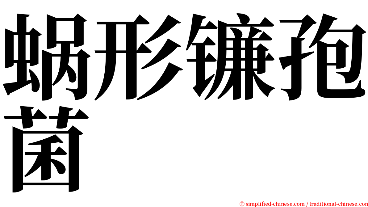 蜗形镰孢菌 serif font