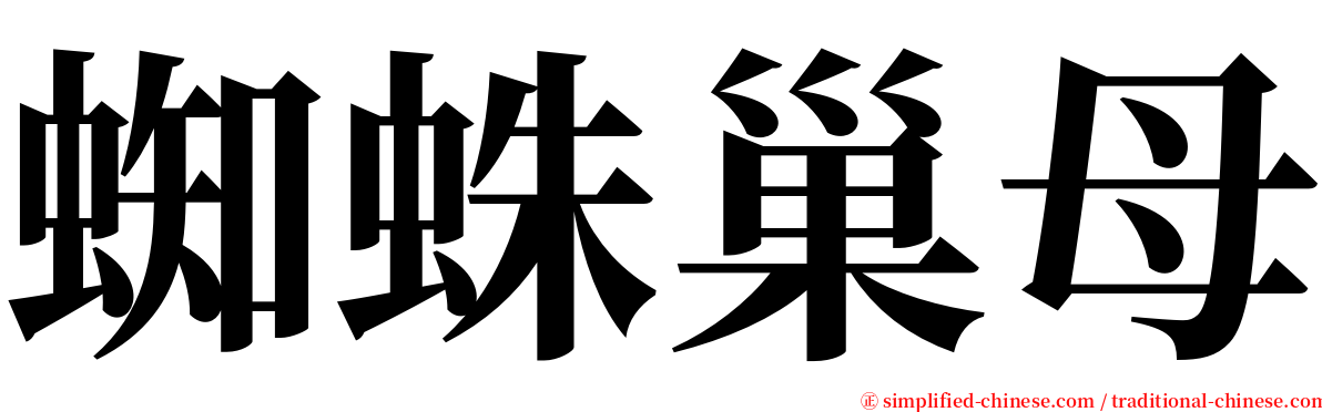 蜘蛛巢母 serif font