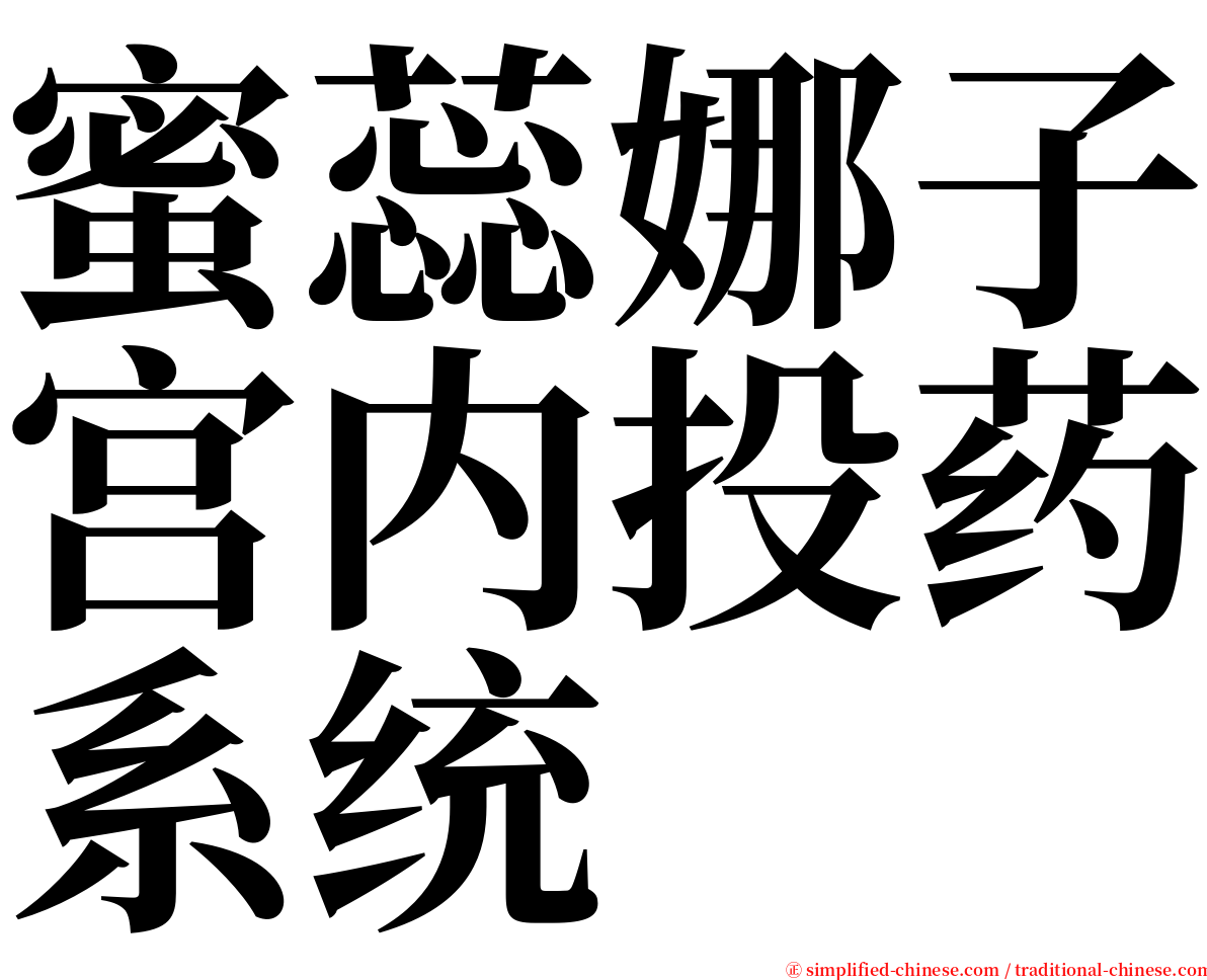 蜜蕊娜子宫内投药系统 serif font