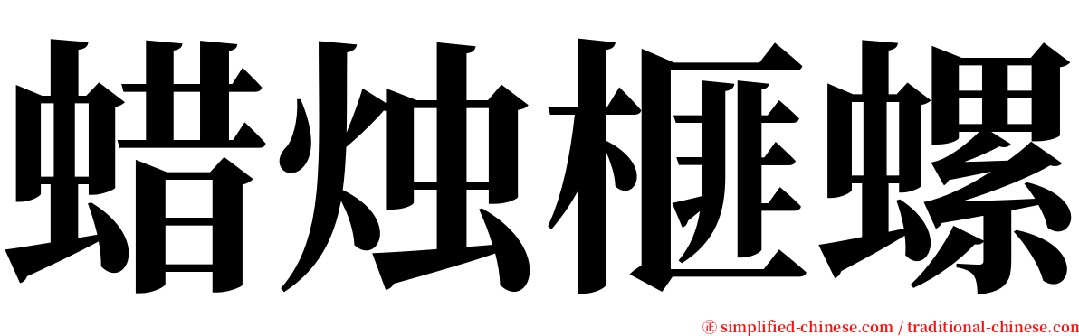 蜡烛榧螺 serif font