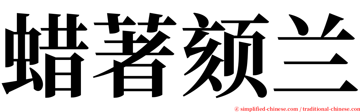 蜡著颏兰 serif font