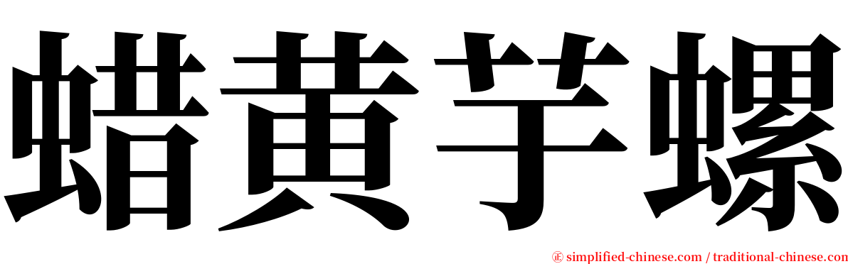蜡黄芋螺 serif font