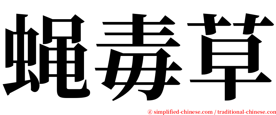 蝇毒草 serif font