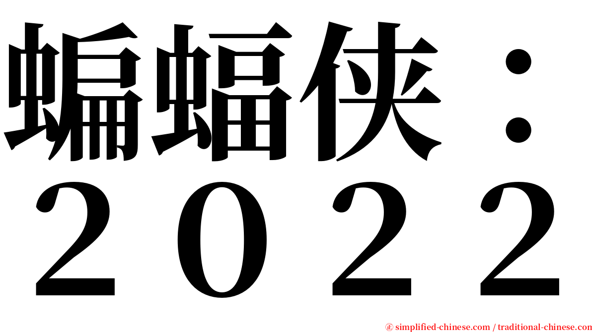 蝙蝠侠：２０２２ serif font