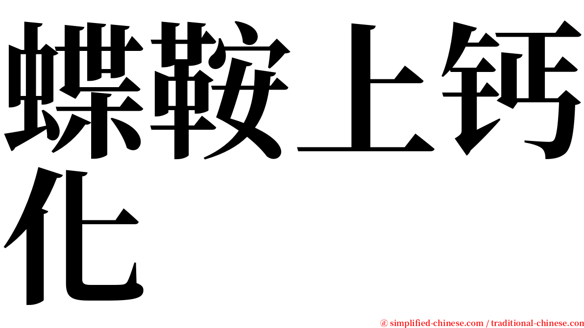 蝶鞍上钙化 serif font