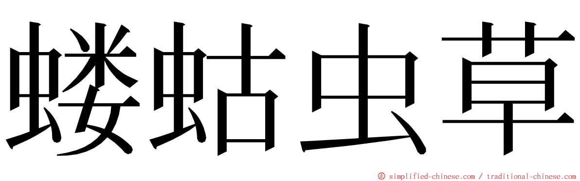 蝼蛄虫草 ming font