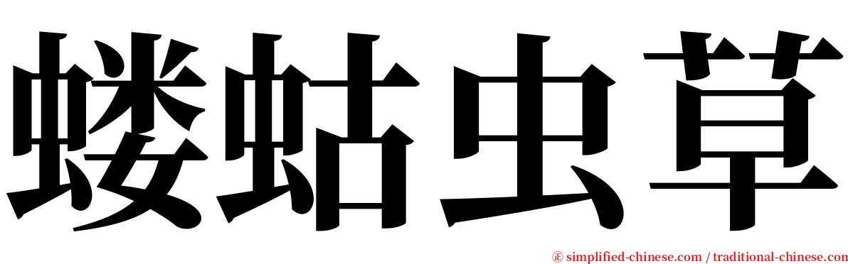 蝼蛄虫草 serif font