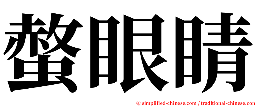 螫眼睛 serif font