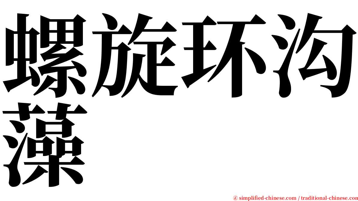 螺旋环沟藻 serif font