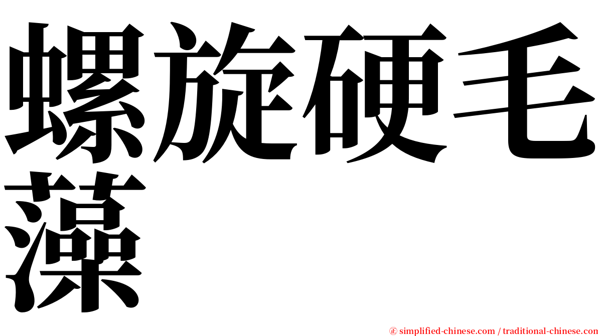 螺旋硬毛藻 serif font